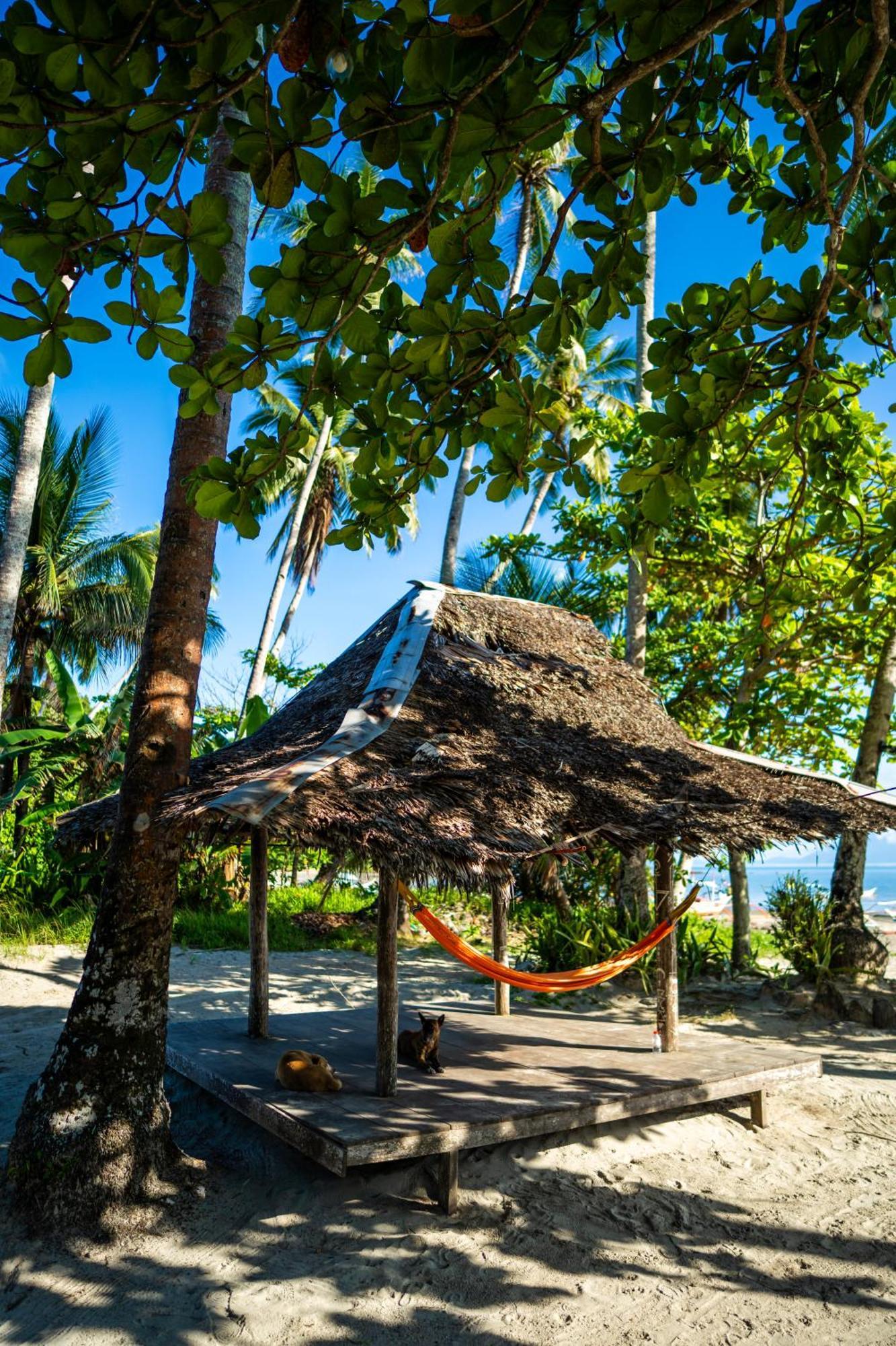 Amihan Beach Hostel San Vicente  Kültér fotó